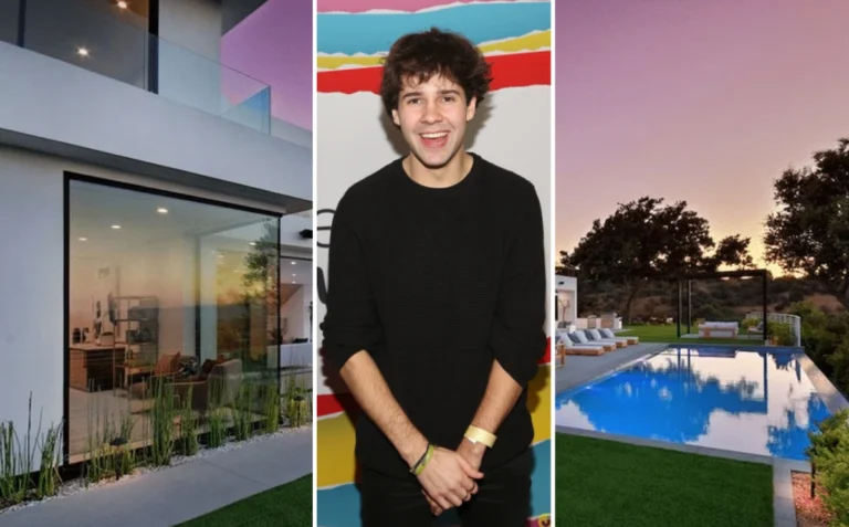 Exterior view of David Dobrik's $9.5 million modern contemporary mansion in Sherman Oaks, Los Angeles, featuring floor-to-ceiling glass walls and infinity pool
